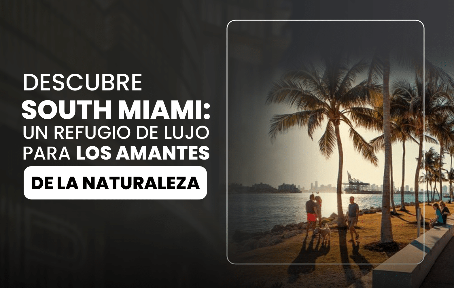 Conoce South Miami