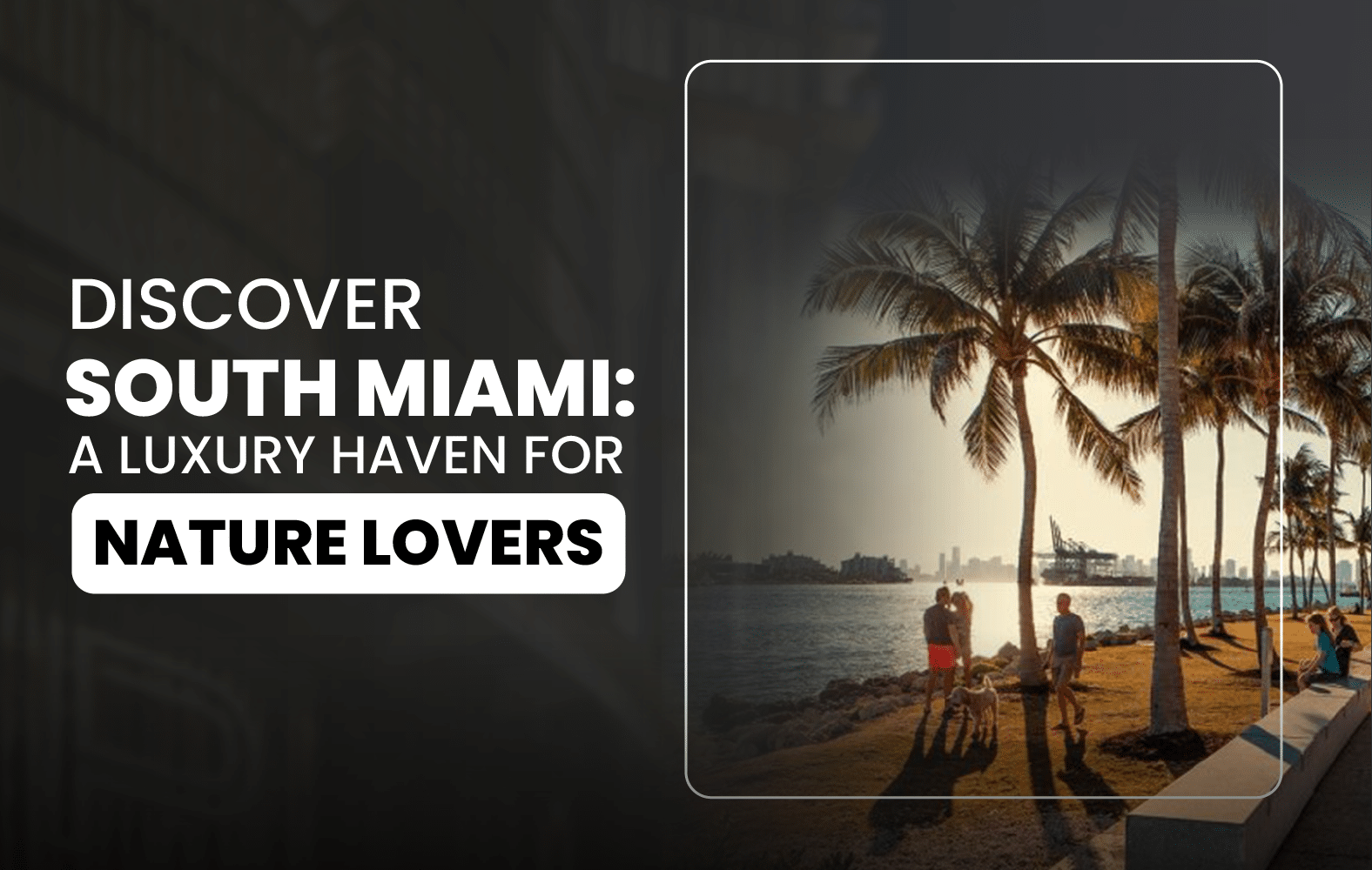 Get to know South Miami